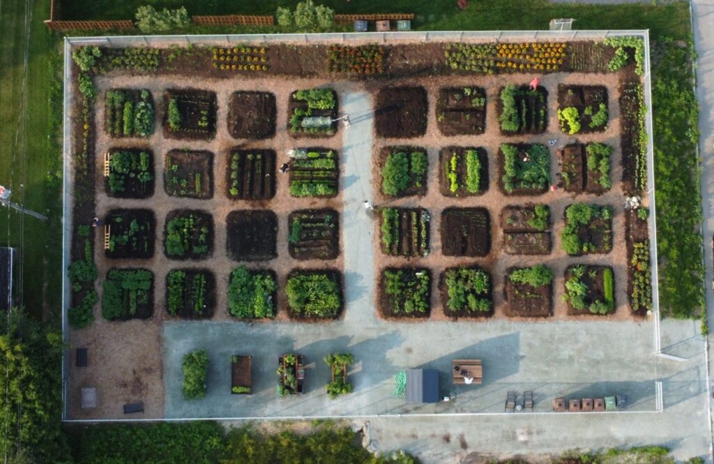 Cultiver vos légumes… oui, c’est possible ! À ne pas manquer