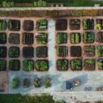 Cultiver vos légumes… oui, c’est possible ! À ne pas manquer